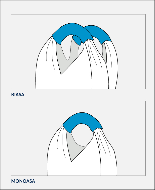 Big Bag Monoasa e Biasa - Imagem 2